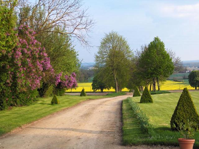 Chambres D'Hotes Le Chateau De La Plante Thure Экстерьер фото